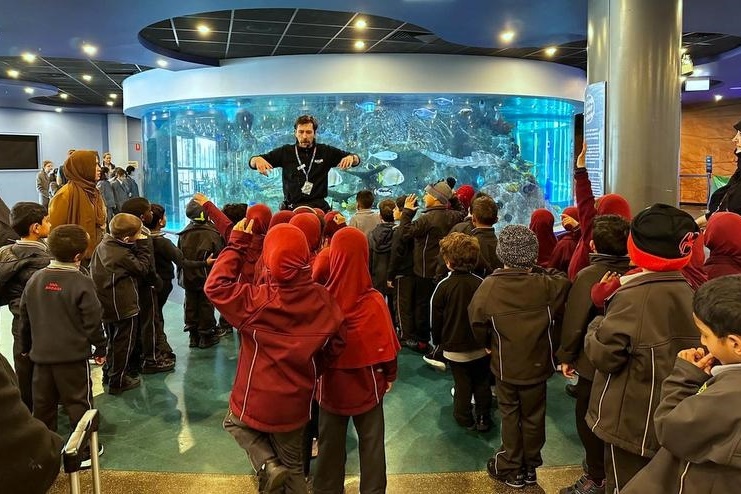 Foundation Excursion: SEA LIFE Melbourne Aquarium